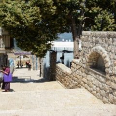 סיור סליחות חודש אלול בצפת 2020