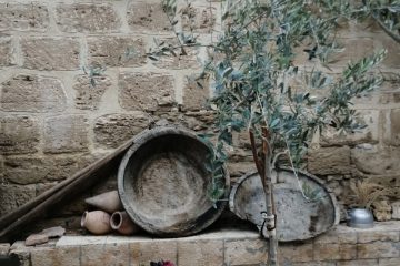 הכפר האפריקאי בירושלים העתיקה -צחי שקד