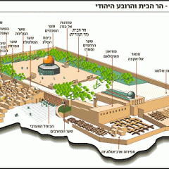 יום סיור בהר הבית ובמתחם העופל.23/3/22 יום ד'.