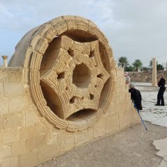 הזדמנות נדירה-ביקור ביריחו-עיר הדקלים 10/02/23